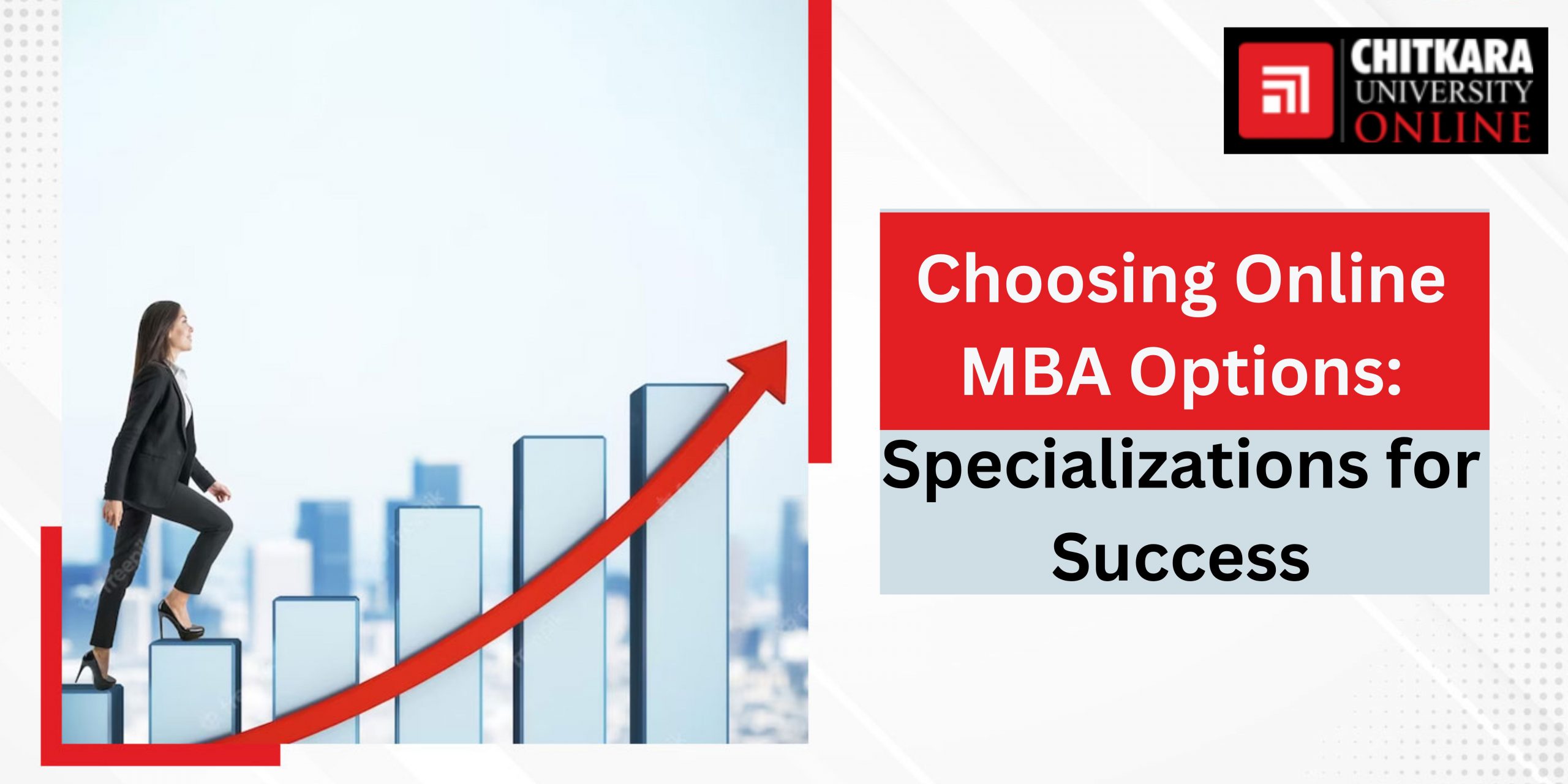 Online MBA Options