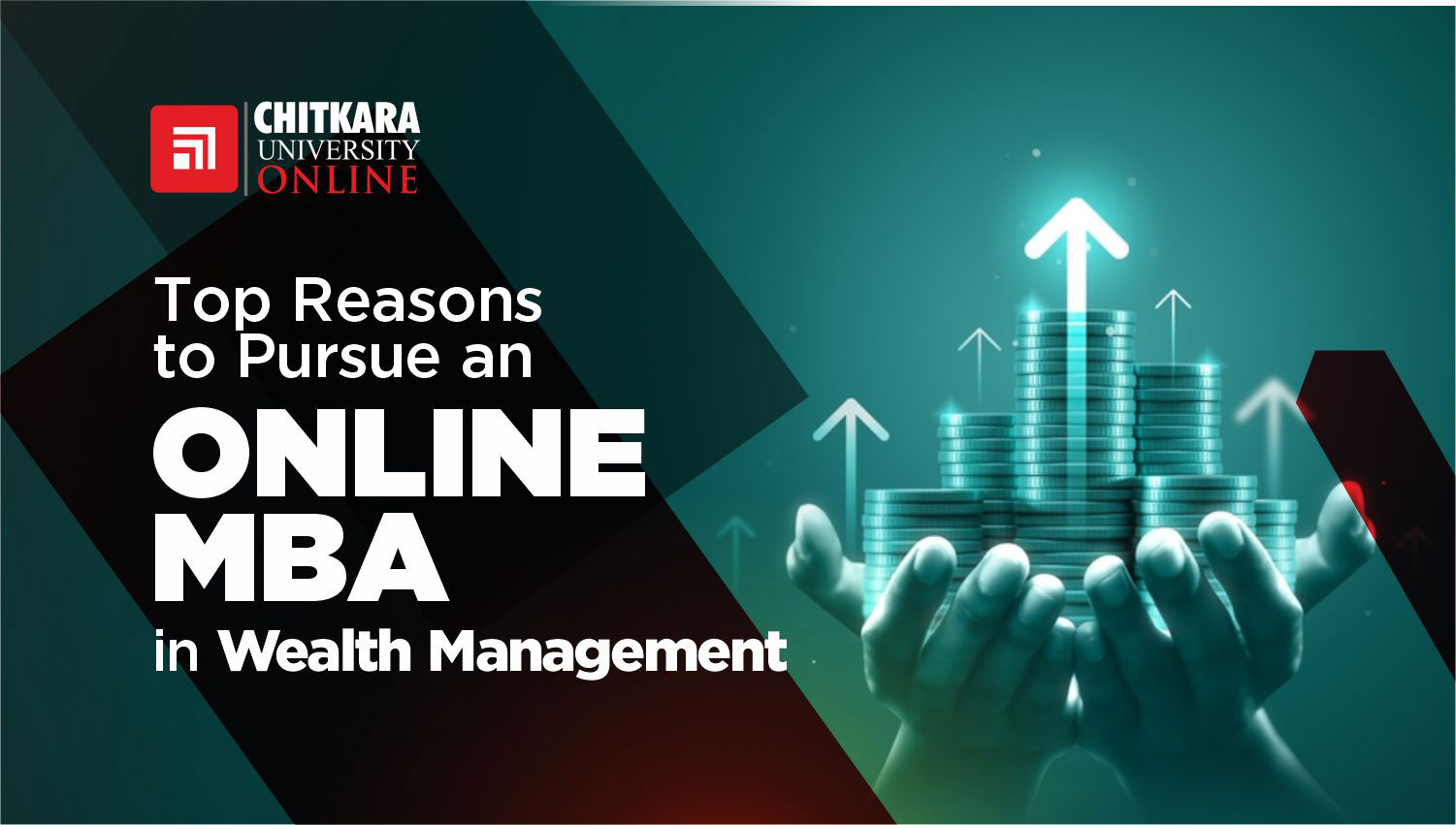 Pursue an Online MBA in Wealth Management