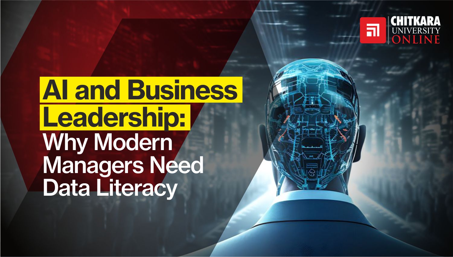 Data Literacy